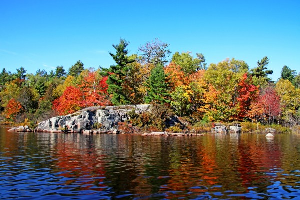 Fall Colors On  Rocky River Shore by Deb Oppermann